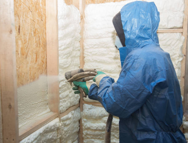 Professional Insulation in Middletown, DE